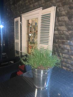 Hotel Friedrich - Hachenburg - 6