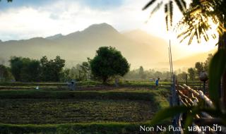 NON NA PUA - นอนนา ปัว - Pua - 9