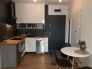 Apartament TEN z miejscem parkingowym - Toruń - 8