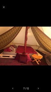 Into the Green Glamping- Beech - 2
