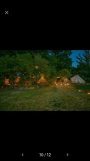 Into the Green Glamping- Beech - 1