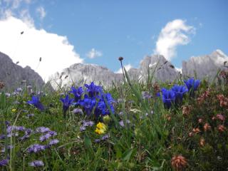 Molteraugut - Mühlbach am Hochkönig - 8