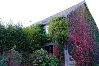 La Maison Jaune à la Janaie - 6