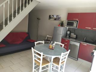 Gîte agréable et tout équipé La Rochelle - Dompierre-sur-Mer - 8