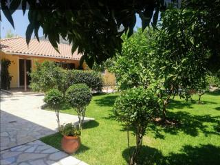 Daglas Summer House - Nydri - 5