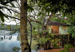 Whistling Woodzs Resort - Dandeli - 2