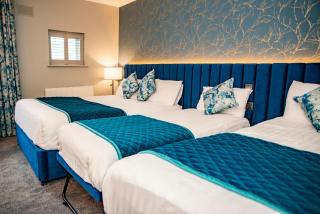 The Riverside Park Hotel - Enniscorthy - 9