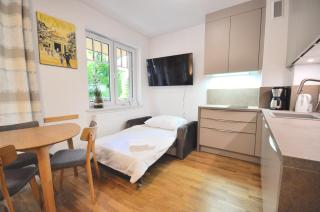 Apartament harmonic aparts - Polanica-Zdrój - 9