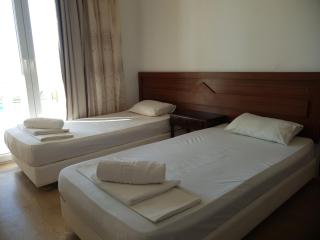 Ananias By Hotelius - 1