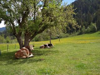 Blonbauer - Schladming - 4