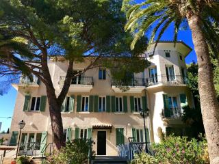 VTF Clairefont - Bandol - 9