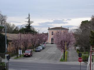 Al Flor - Bagnacavallo - 2