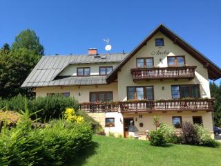 Apartmany Aneta - Špindlerŭv Mlýn - 4