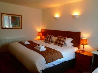 The Fox & Hounds - Faringdon - 8