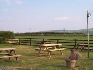 The Fox & Hounds - Faringdon - 1