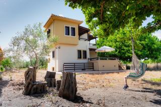 Karavos Grove - Káto Lekhónia - 0