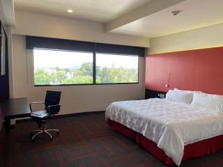 Holiday Inn Mexico Dali Airport by IHG - Mexiko-Stadt - 4