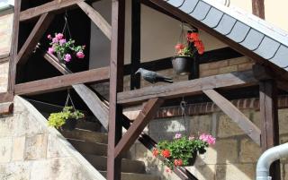 "Altes Stellwerk Frose" am Froser See - Frose - 8