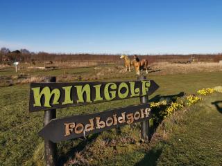 Vestbjerg Apartments - 7