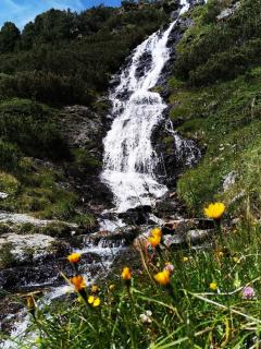 Pension Bergwelt - Neustift im Stubaital - 7