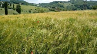 Casa Vacanze Campo d'Arco - Nocera Umbra - 8
