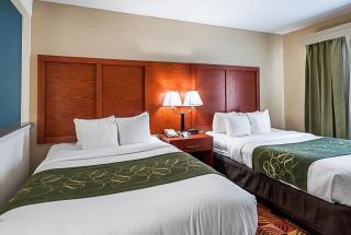 Comfort Suites Lake Charles - Lake Charles - 4