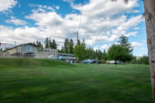 Swiss Holiday Lodge - Mount Shasta - 4