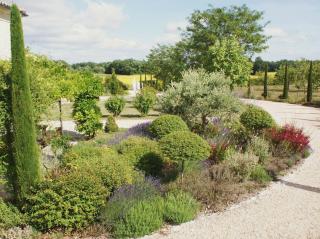 Le Domaine des Doucins & Spa, Gîte 4 étoiles, 10 minutes de Jonzac piscine et spa - Fontaines-dʼOzillac - 3
