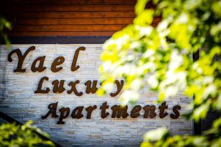Yael Luxury Apartments 2 - Buşteni - 3