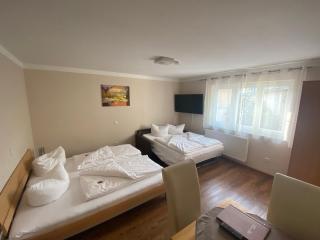 Hotel Alex - Stammham - 4