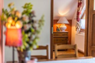 Apartamenty Leśniczówka Salamandra - Świeradów-Zdrój - 2