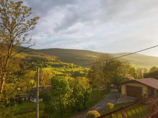 Apartamenty Leśniczówka Salamandra - Świeradów-Zdrój - 4