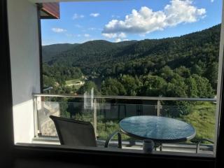 MOUNTAIN RESIDENCE - Sinaia - 7