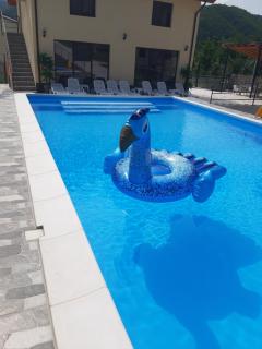 Vila Donau - Dubova - 5