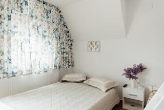 Autentic Adorabil Apartment - Albeştii Pămînteni - 4