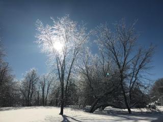 Auberge du Sault-à-la-Puce - 5