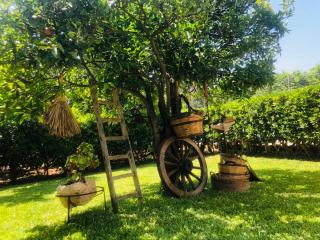 Sicilian Garden - 1