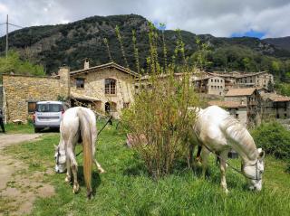 Bed&Breakfast la Cabanya de Beget - 0