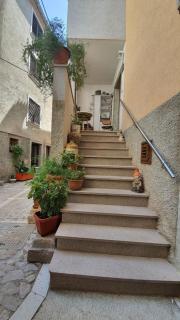 Franceska apartmani - Cres - 4