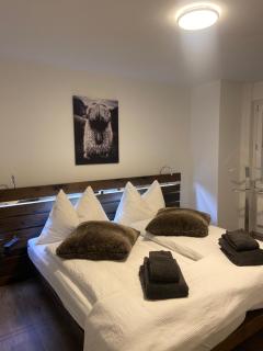 Emelie Zermatt 4**** - Zermatt - 9