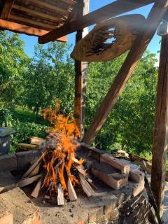 Brandy House Hedonica - 2