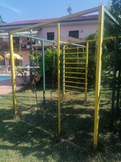 Little Star Pioppa - 8