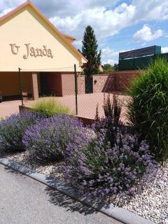Ubytování U Janča - Lednice - 9
