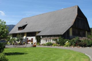 Urlaub am Bio-Bauernhof Liebchen - Zeutschach - 7
