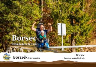 Pensiunea Favorit Ferice - Borsec - 7