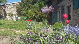 Domaine de la Fée-Licité - Jullié - 4