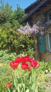 Domaine de la Fée-Licité - Jullié - 3