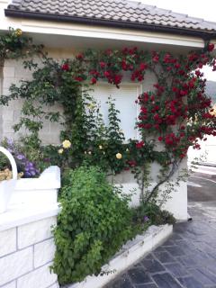 LAS AMAPOLAS - Arguis - 5