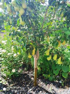 Magdalini Studio - 8