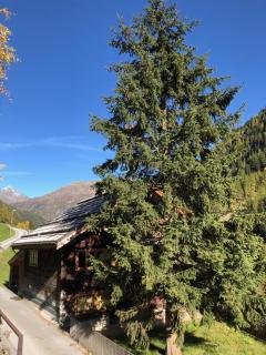 Haus Freistabl - Sölden - 8